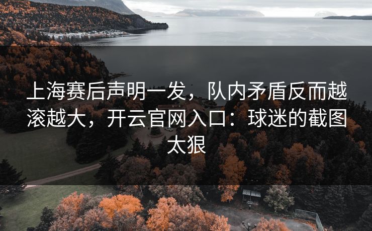上海赛后声明一发，队内矛盾反而越滚越大，开云官网入口：球迷的截图太狠